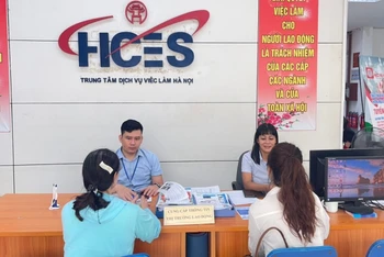 Lao động tìm hiểu thông tin tại Trung tâm dịch vụ việc làm Hà Nội. (Ảnh: HCES)