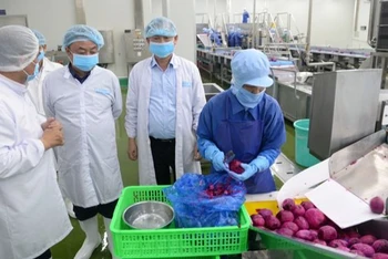Lãnh đạo Bộ Nông nghiệp và Phát triển nông thôn cùng đoàn công tác đã khảo sát tại Công ty Cổ phần công nghiệp thực phẩm THABICO Tiền Giang.