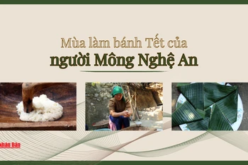 Mùa làm bánh Tết của người Mông Nghệ An