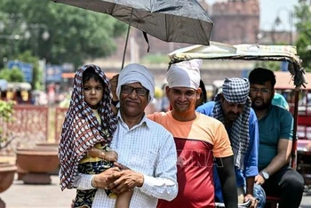 Người dân che ô tránh nắng nóng tại New Delhi, Ấn Độ, ngày 21/5/2024. (Ảnh: AFP/TTXVN)