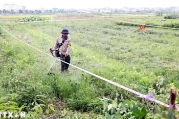 Thực hiện thu hồi đất để triển khai xây dựng điểm dân cư mới. (Ảnh: Mạnh Tú/TTXVN)