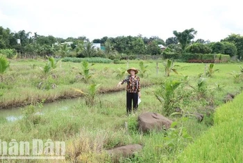 Khu vực đất mà bà Phạm Thị Cúc và các ông Nguyễn Văn Huy và Nguyễn Văn Huỳnh đang tranh chấp tại thôn 7, xã Hòa Xuân, thành phố Buôn Ma Thuột.