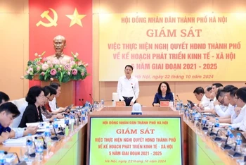 Đoàn giám sát của Hội đồng nhân dân thành phố làm việc với các sở ngành thuộc khối văn hóa-xã hội. (Ảnh: Lê Hải)