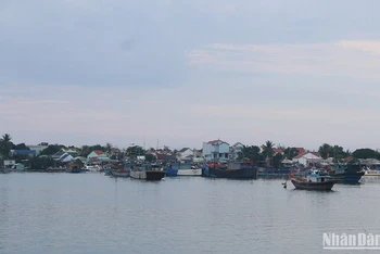 Quảng Nam tổ chức cấm biển kể từ 7 giờ ngày 25/9, đến nay, nhiều tàu thuyền đã vào nơi trú ấn.