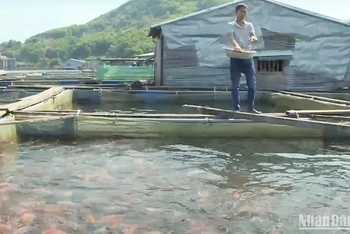 Nuôi cá trong lòng hồ Thủy điện Sông Tranh 2 (huyện Bắc Trà My, Quảng Nam) đem lại nguồn thu nhập đáng kể cho người dân .