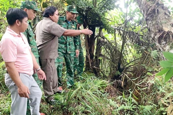 Lực lượng chức năng, kiểm tra, khảo sát khu vực có nguy cơ sạt lở tại khu vực thôn H’juh, xã Ch’ơm (huyện Tây Giang).