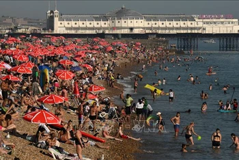 Người dân đổ tới bãi biển tránh nóng tại Brighton, Anh, ngày 7/9/2023. Ảnh: AFP/TTXVN