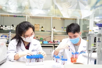 Sinh viên Trường đại học Khoa học và Công nghệ Hà Nội thực hành trong phòng thí nghiệm. 