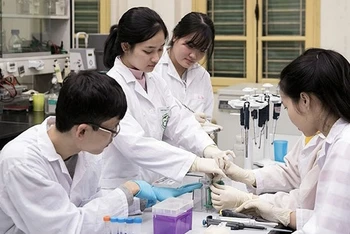 Sinh viên Đại học Quốc gia Hà Nội thực hành tại phòng thí nghiệm.