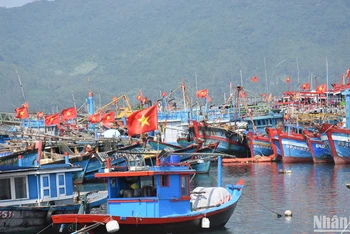 Hàng trăm tàu cá của ngư dân khu vực miền trung đang neo đậu tại Âu thuyền và cảng cá Thọ Quang sẽ ra khơi cho chuyến biển đầu năm trong vài ngày tới.