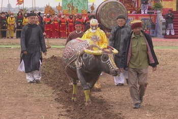 Một lão nông địa phương thực hiện nghi lễ nhập linh khí quân vương cày Tịch điền tại Lễ hội.