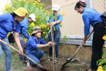 Đoàn viên thanh niên tham gia trồng cây xanh tại xã An Hiệp và xã An Hòa Hải, Tuy An, Phú Yên.