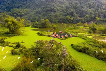 Khu du lịch sinh thái Thung Nham (thôn Hải Nham, xã Ninh Hải, huyện Hoa Lư, Ninh Bình) được biết đến là điểm du lịch có cảnh quan thơ mộng với vẻ đẹp hoang sơ, độc đáo, là nơi cư ngụ của rất nhiều loài chim. (Ảnh: Trường Huy)