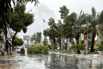 Mưa lớn gây đổ ngã cây xanh trên đường phố Sóc Trăng.