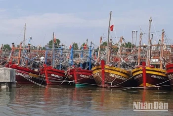 Tàu thuyền của ngư dân Quảng Bình neo đậu tránh trú bão ở Khu neo đậu sông Gianh.