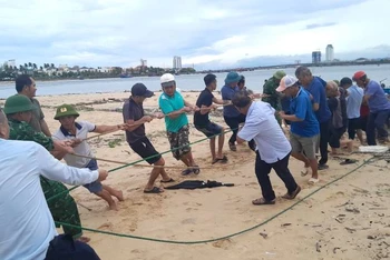 Bộ đội Biên phòng Quảng Bình cùng người dân Đồng Hới phối hợp kéo chiếc tàu câu mực bị chìm lên bờ. 