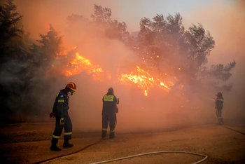 Lính cứu hỏa nỗ lực dập tắt đám cháy rừng ở Ntrafi, Athens, Hy Lạp, ngày 19/7/2022. (Ảnh: Reuters)