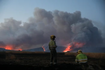 Nắng nóng khiến cháy rừng lan rộng ở Zamora, Tây Ban Nha, ngày 18/7/2022. (Ảnh: Reuters)