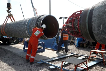 Công nhân tại công trường xây dựng đường ống dẫn khí Dòng chảy phương bắc 2, gần thị trấn Kingisepp, Leningrad, Nga. (Ảnh: Reuters)