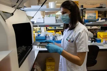 Xét nghiệm các mẫu bệnh phẩm nghi ngờ nhiễm virus đậu mùa ở khỉ ở Madrid, Tây Ban Nha. (Ảnh: Getty Images)