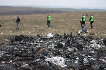 Hiện trường vụ rơi máy bay MH17 của hãng hàng không Malaysia Airlines ở miền đông Ukraine, ngày 11/11/2014. (Ảnh: AFP/TTXVN)