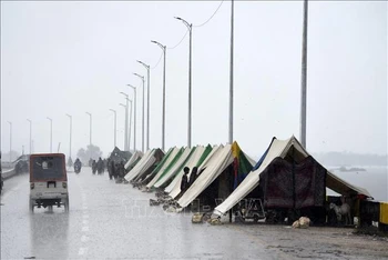 Người dân sơ tán tránh lũ ở trong các lều tạm tại Sukkur, tỉnh Sindh, Pakistan, ngày 27/8/2022. (Ảnh: AFP/TTXVN)