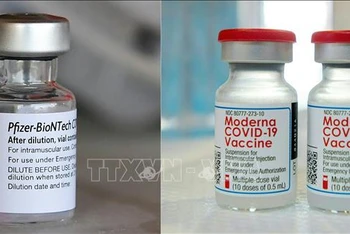 Vaccine ngừa Covid-19 của Moderna và Pfizer/BioNTech. (Ảnh: AFP/TTXVN)