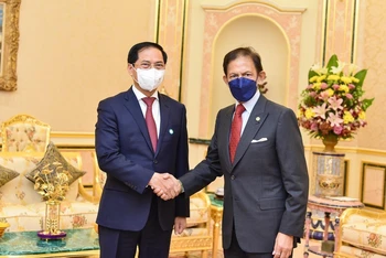 Quốc vương Brunei Sultan Haji Hassanal Bolkiah tiếp Bộ trưởng Ngoại giao Bùi Thanh Sơn. (Ảnh: TTXVN)