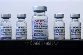 Vaccine ngừa Covid-19 của Pfizer/BioNTech và Moderna. Ảnh: AFP/TTXVN