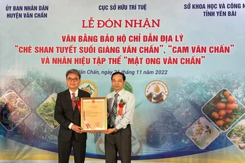 Cục Sở hữu trí tuệ trao giấy chứng nhận cho huyện Văn Chấn.