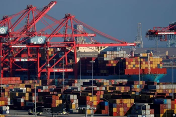 Các container tại cảng Long Beach ở California, Mỹ. (Ảnh: Reuters)