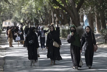 Taliban cấm phụ nữ học đại học. (Ảnh: AFP/TTXVN)