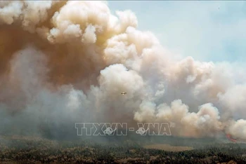 Máy bay dập lửa cháy rừng ở hạt Shelburne, Canada ngày 31/5/2023. (Ảnh: THX/TTXVN)