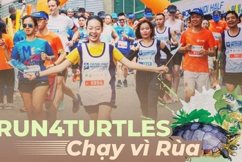 Giải chạy Hanoi Half Marathon lần thứ 8 sẽ được tổ chức với chủ đề “#Run4Turtles - Chạy vì Rùa” nhằm lan tỏa thông điệp bảo vệ rùa tới cộng đồng. (Ảnh: BTC)