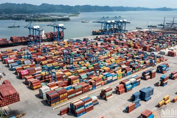 Bốc dỡ hàng hóa tại cảng container Đình Vũ, Hải Phòng. (Ảnh minh họa: THÀNH ĐẠT)