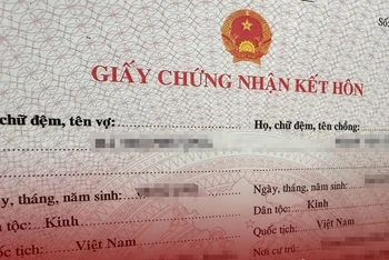 Ảnh minh họa: TTXVN