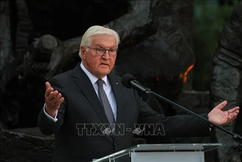 Tổng thống Đức Frank-Walter Steinmeier. (Ảnh tư liệu: PAP/TTXVN)