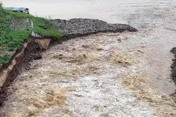 Mưa lũ đang gây sạt lở tại chân cầu Đen từ suối Chăm đổ ra sông Đà.