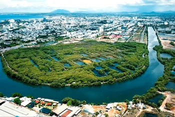 Khu rừng ngập mặn thành phố Phan Thiết được giữ nguyên sau điều chỉnh quy hoạch. (Ảnh: Tiêu Đình An).
