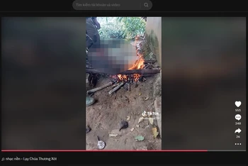 Hình ảnh chụp từ video trên Tiktok vi phạm.