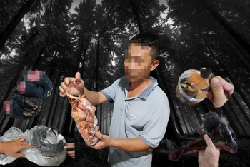 Buôn bán động vật hoang dã: Những hình ảnh đau lòng