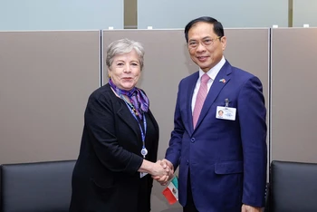Bộ trưởng Ngoại giao Bùi Thanh Sơn gặp gỡ Bộ trưởng Ngoại giao Mexico. (Ảnh: Báo Việt Nam và Thế giới)