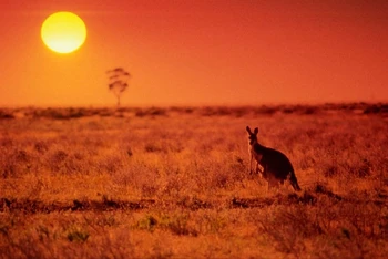 Australia vừa trải qua một tháng 8 nóng nhất trong lịch sử. (Ảnh: Alamy)