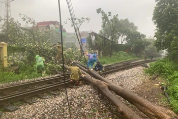 Tiến hành di dời cây đổ để thông tuyến đường sắt sau bão số 3.