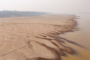 [Ảnh] Đợt hạn hán nghiêm trọng nhất lịch sử "bủa vây" Brazil