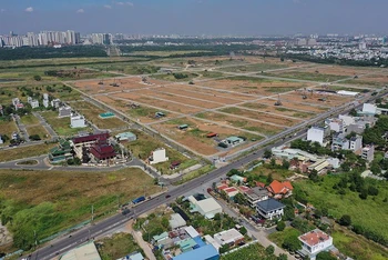 Sử dụng đất trồng lúa sang loại đất khác mà không được phép bị phạt tới 200 triệu đồng.