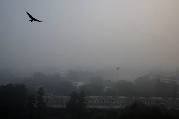 Trước tình trạng ô nhiễm không khí ngày càng nghiêm trọng tại Delhi, Chính phủ Ấn Độ đã quyết định cấm toàn bộ các công trình xây dựng không cần thiết; đồng thời kêu gọi người dân tránh đốt than để sưởi ấm. (Ảnh: Reuters)