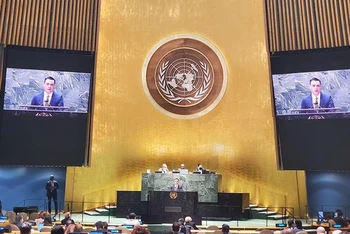 Đại sứ Đặng Hoàng Giang phát biểu tại một phiên họp của Đại hội đồng Liên hợp quốc. (Ảnh minh họa. Nguồn: TTXVN)