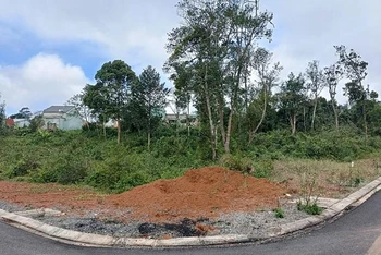 Một hạng mục đã được thi công tại Dự án khai thác quỹ đất khu biệt thự phía bắc trung tâm huyện Kon Plông khi chưa chuyển đổi mục đích sử dụng đất, chưa được cấp có thẩm quyền phê duyệt.