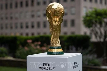 Cúp vô địch bóng đá thế giới, tại một sự kiện ở New York, Mỹ. (Ảnh: AFP/TTXVN)
